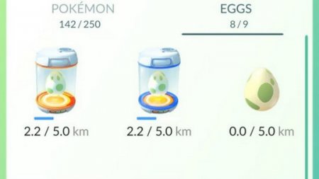 Легкий способ высидеть яйца в Pokemon GO